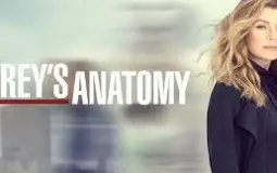 grey's characters