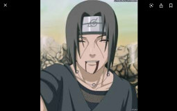 Les animes
