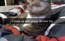 females