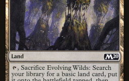 Evolving Wilds