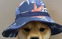 Oof teey member