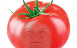 nmauczyciele