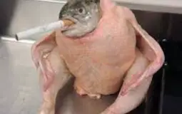 for honor