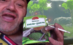 Биба