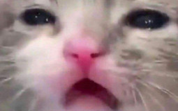 organic chemistry