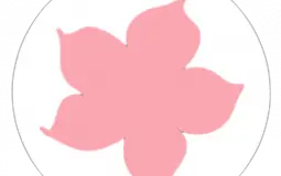 My anime tier