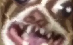 People in the Discord