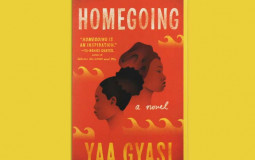 Homegoing Characters