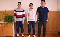 Rok