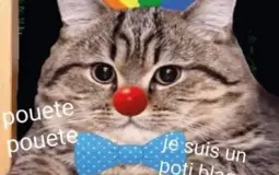Dicksord Emoij