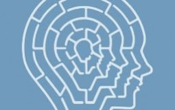 IQ Test Tier List