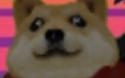 DaPink Doge