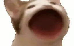 caca