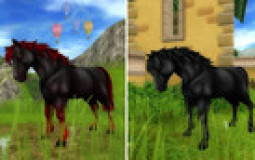 My SSO Horses