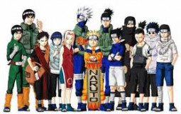 Your favorite naruto characters!