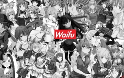 Fine taste waifus