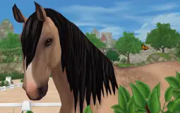 My Horses