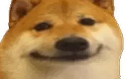 ae