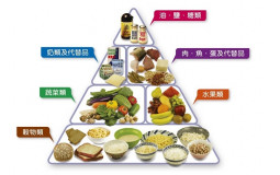 食物分類：健康飲食金字塔