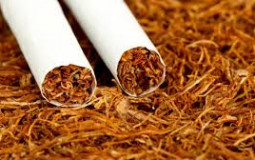 Marques de tabac