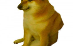 Animes qls