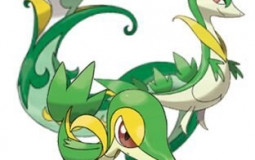 My Favorite Pokemon