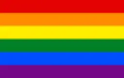 Pride Flag Judging lol