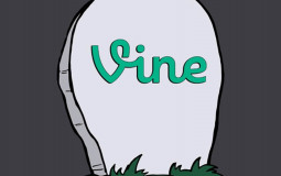 best vines