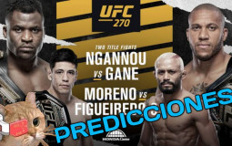 UFC 270