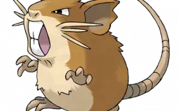 Pokemon
