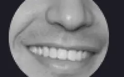 Sachow videos