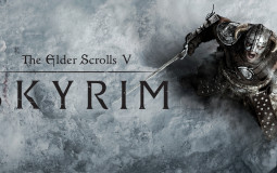 Skyrim Character