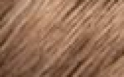 hair