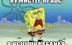 bebraaafasfasfsa