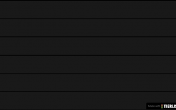 Video games