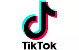 Tiktokers Français