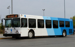 Canadian Busses