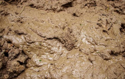 Mud