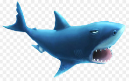 Hungry shark evulation