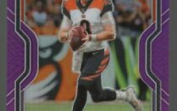 NFL Quarterback Sports Cards to Invest