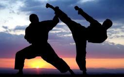 Martial Art's for Self Defense