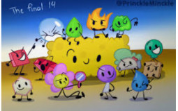 BFB Final 14