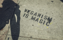 Arguments Against Veganism