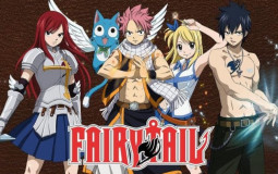 Fairy Tail (preferences)