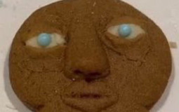 COOKIE HOUSE