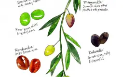 Olives