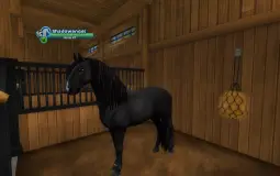 Ranking my star stable online horses