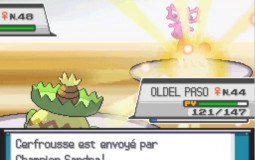 Mes pikémons de nuzlockes