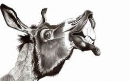 Les Animaux