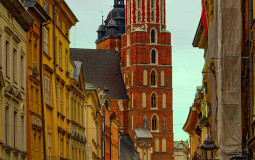 wykładowcy